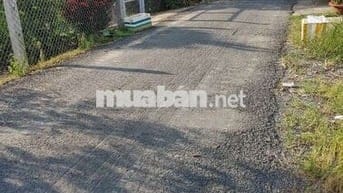 Bán đất nền thổ cư đường hai cây lim