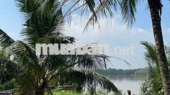 222m² đất vườn ven sông Cửa Tiểu – giá chỉ 160 triệu! 🌿🍍🌱