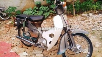 Cub 78.GTDD biển 61..