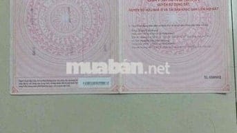 Chính chủ bán nhà Biệt Thự mini 3 tầng.