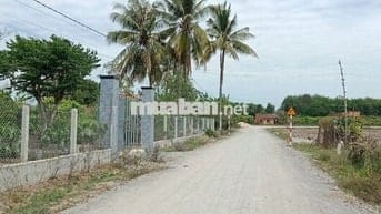 🔥 ĐẤT MẶT TIỀN ĐƯỜNG 8M – SỔ RIÊNG – GIÁ CHỈ 450 TRIỆU 🔥