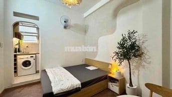 cho thuê cân hộ mini Q1- Lý Tự Trọng - 1PN, ban công, máy giặt riêng