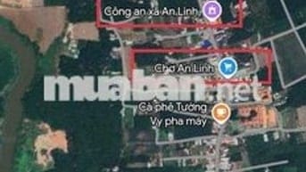 Đất HCM, giá chỉ 1tr/m2 quá rẻ bà con ơi 🔥🔥🔥