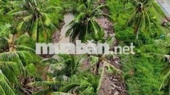 280 Triệu/1.000m² – Cơ hội đầu tư đất vườn ven sông hiếm có 🌴🌊