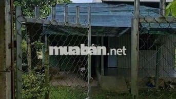 Bán Đất ruộng đã lên vườn ở Mương Hội Đồng Thu, Phường Mỹ Hoà cũ, AG