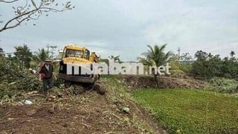 nợ ngân hàng bán gấp 2ha ngay dân cư trồng caffe thoải mái