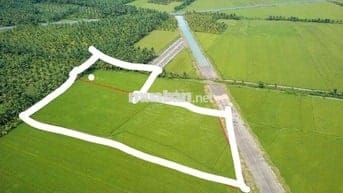 CẦN BÁN GẤP 11.000m² – XÃ TIỂU CẦN, VĨNH LONG