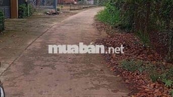 Bán lô đất sào full thổ cư trung tâm long khánh