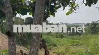 1.7ha đất vườn quá rẻ, cao ko ngập view Sông