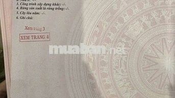 Chính chủ đất thổ cư đẹp vuông vứt Chợ Mới,Tân Châu,