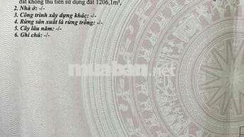 Đất Long Giang- Bến Cầu-Tây Ninh