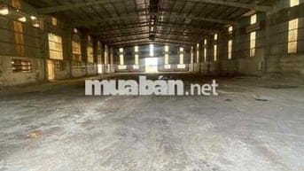 Cho thuê xưởng trong CCN hóc môn TP HCM 💥 Khuôn viên 6.000m2 💥 DT xưởn
