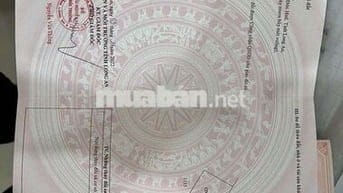 Bán đất 1184m2, gần chợ Bình Hoà Nam, Đức Huệ, Long An