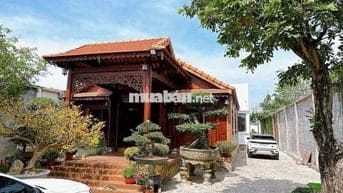 Giảm chốt Biệt Phủ Hồ Bơi Trung Tâm Thủ Dầu Một|14x76|Full gỗ cao cấp