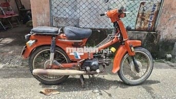 50c ko cần bằng lái