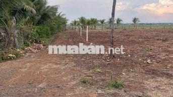 Bán 10m đất để dành có thổ cư giá chỉ 28 triệu/ m cách ngã 6 BMT 18km