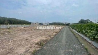 Đất gần KCN Hiệp Thạnh Gò Dầu gia chỉ 260tr