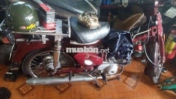 Xe Cub như hình ảnh có giấy tờ