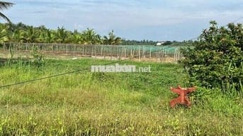 🏡 BÁN ĐẤT GIÁ TỐT - DÂN CƯ ĐÔNG ĐÚC 🌳