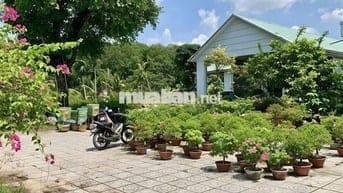 🌿 BÁN NHÀ VƯỜN SINH THÁI 10.000m² SẴN NHÀ LỚN - ĐƯỜNG NHỰA CỰC ĐẸP, ĐN