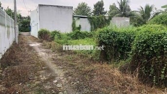 Đất nền đường Thạnh Hoà, Long Hoà B, Đạo Thạnh cách Hương Sen 150m