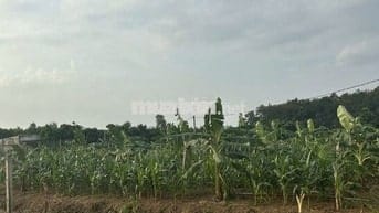 CẦN BÁN ĐẤT NÔNG NGHIỆP, Ô TÔ TỚI NƠI – TÚC TRƯNG, ĐỊNH QUÁN, ĐỒNG NAI