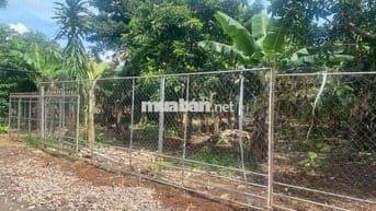 35m mặt tiền, hơn 115m suối bao sau đất. Trồng Sầu riêng, Chuối, Bơ