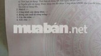 CHÍNH CHỦ TÔI CẦN BÁN GẤP LÔ ĐẤT MỎ CÀY BẾN TRE