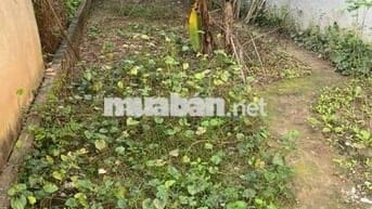 TRUNG TÂM VẠN 3, TRÊN 62tr/m2. MẶT TIỀN RỘNG,NGÕ Ô TÔ, FULL TIỆN ÍCH.