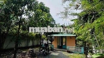 CHÍNH CHỦ CHO THUÊ BIỆT THỰ MINI