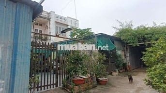 Chính chủ Cho thuê nhà nguyên căn rộng rãi, gần chợ Phú Thuận, Quận 7