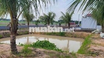 CHỦ CẦN TIỀN BÁN GẤP LÔ ĐẤT XÃ LỢI THUẬN, TÂY NINH 1400M2 GIÁ 1 TỶ