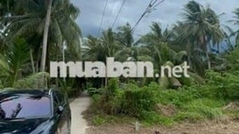 Đất thổ cư giáp rạch giá rẻ Tân Phú Đông – 170m² chỉ 260 triệu, sổ sẵn