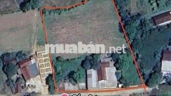 Bán ~4000m2 Đất Quê có Thổ Cư chỉ 875nghìn/m2