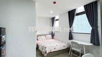 Cho thuê căn hộ tại khu đô thị Sentosa, gần biển