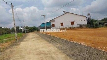 📣 BÁN ĐẤT LỘC KHÁNH, LỘC NINH 1042M² – GIÁ CHỈ 485 TRIỆU