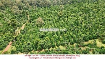 ĐẤT ĐẸP GIÁ TỐT CHÍNH CHỦ CẦN BÁN Lô Đất Tại Đắk Sắk,Đắk Mil,Đắk Nông