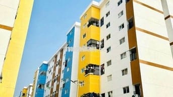Căn hộ chung cư 35m² - 2PN Dự án Khu đô thị DTA Nhơn Trạch.