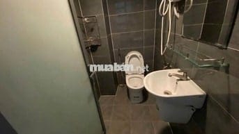 Bán gấp d.ã.y t.r.ọ 243m2 ở Thanh Phước Gò Dầu giá 850 triệu SHR