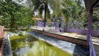 Nhà vườn 300m2 sẵn 100m thổ cư giá rẻ chỉ 670 triệu tại Tiền Giang