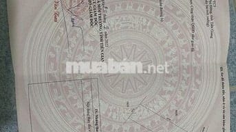 CẦN BÁN 500 m2 ( 10x50), CLN, PHÚ THẠNH, TÂN PHÚ ĐÔNG