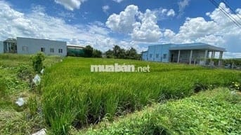 đất Thổ cư cho anh em cần phân lô bán nền