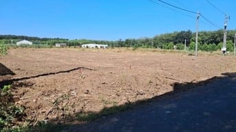 Lô đất ngộp 1550m2, thổ cư, ngay chợ Minh Lập, chỉ 1,1 tỉ