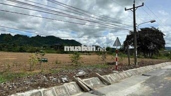 Đất nền vi trí đẹp. thuận lợi cho xây nhà máy, thuê kho trữ sầu riêng