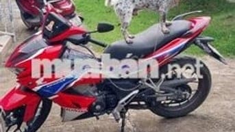 Không đi nên bán