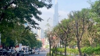 2 MT Trần Não & 8L, LG 50m, VH 40m2, DTĐ 92m2, DTSD 460m2: 1H 1T 3L ST