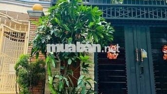 35tr/m2 đất sau lưng trường Nguyễn Huệ, p10 TP Vũng Tàu chợ Rạch Dừa