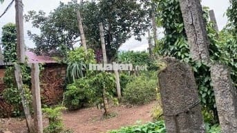 Chính chủ cần bán gấp đất "nở hậu" khủng (32mx70m) mặt tiền TL671