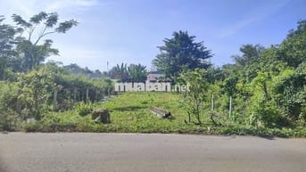 🚨KẸT TIỀN CẦN BÁN GẤP LÔ ĐẤT THỔ CƯ 165M2 NGAY SÁT QL22 CHỈ 450TR