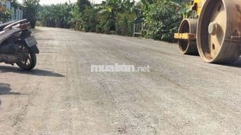 Loaloa rẻ nhất bạch đằng 3,6t/m2 có tới 30m mặt tiền nhựa lớn nhanh ạ